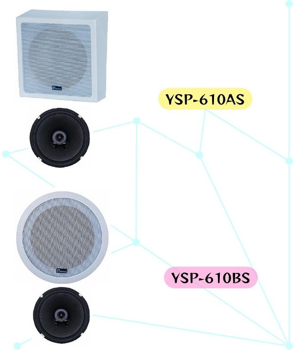 Coaxial Array Speaker